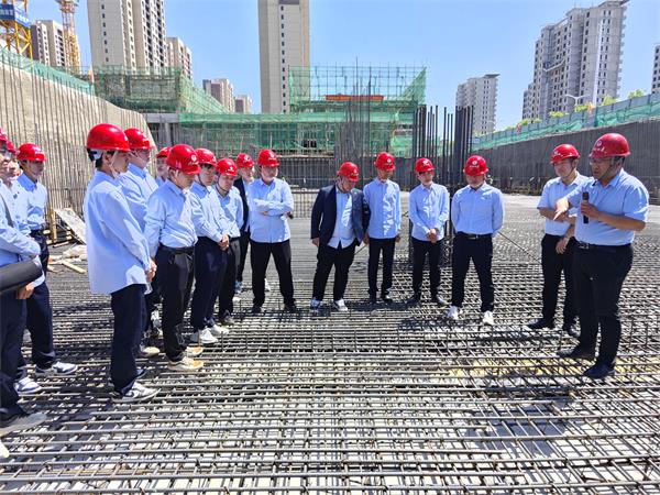 六台盒宝典资料大全2024年